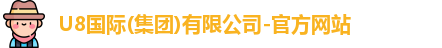 U8国际